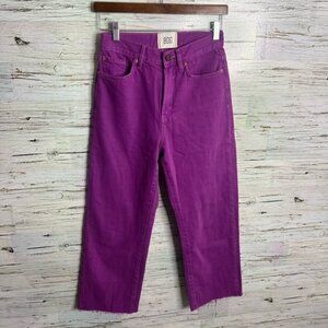 Urban Outfitters BDG Jean High Waisted Cowboy Purple Size 26